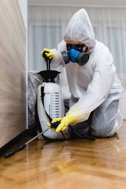 Best Residential Pest Control  in Goodyear, AZ